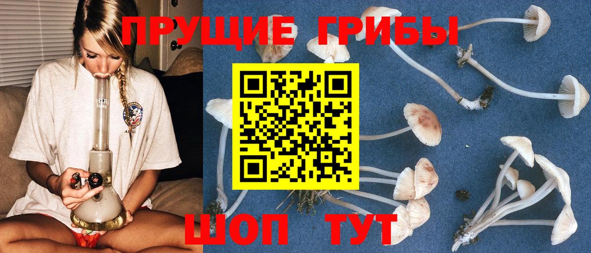 Лосино-Петровский  Псилоцибиновые грибы Psilocybine cubensis  закладки  Вход с VPN 