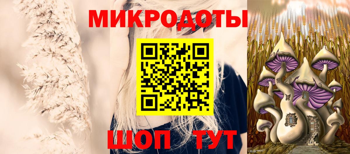 Псилоцибиновые грибы Psilocybe Лосино-Петровский